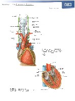 Sobotta  Atlas of Human Anatomy  Trunk, Viscera,Lower Limb Volume2 2006, page 90